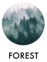 c_b_forest